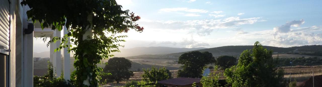 Vineyard Country House With Panoramic Seaview 亚历山德鲁波利斯 外观 照片