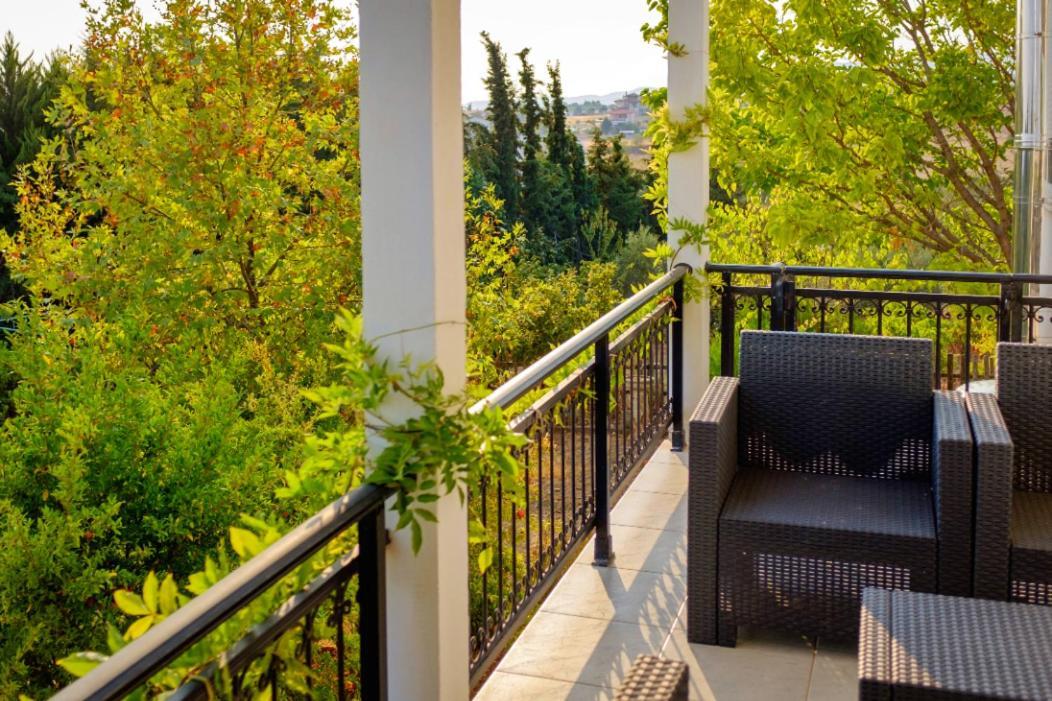 Vineyard Country House With Panoramic Seaview 亚历山德鲁波利斯 外观 照片