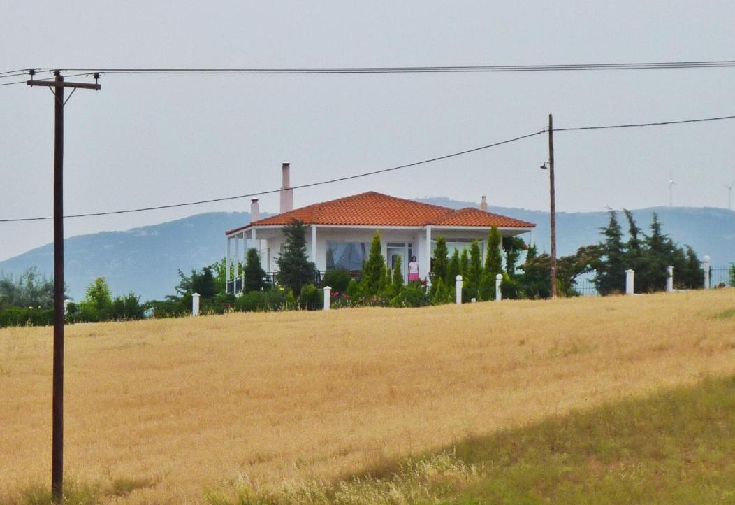Vineyard Country House With Panoramic Seaview 亚历山德鲁波利斯 外观 照片