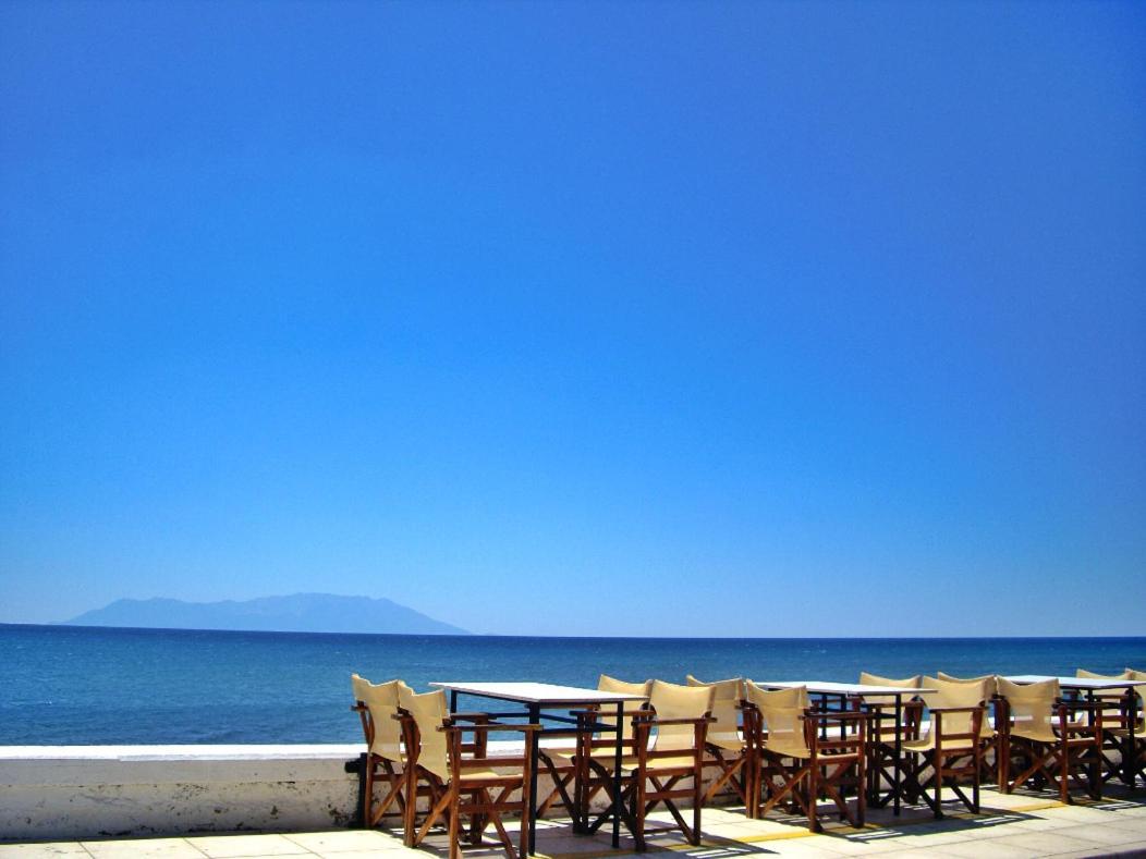 Vineyard Country House With Panoramic Seaview 亚历山德鲁波利斯 外观 照片