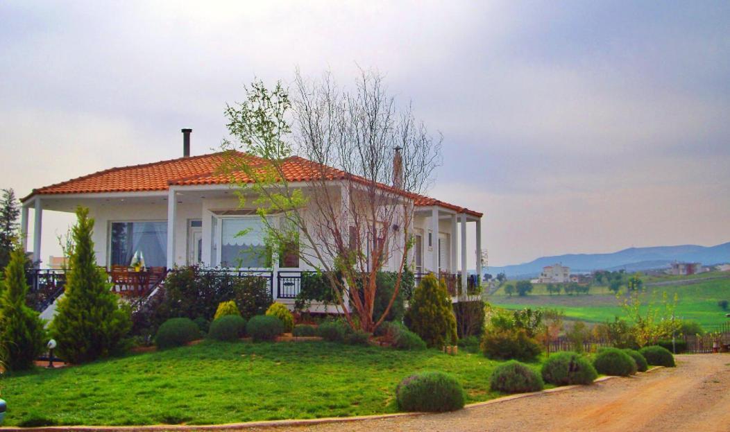 Vineyard Country House With Panoramic Seaview 亚历山德鲁波利斯 外观 照片